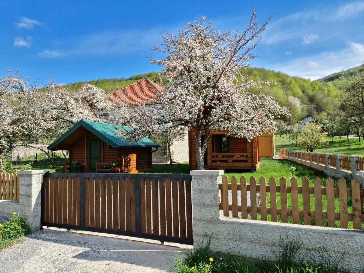 Guest House Green Garden Mojkovac Ngoại thất bức ảnh